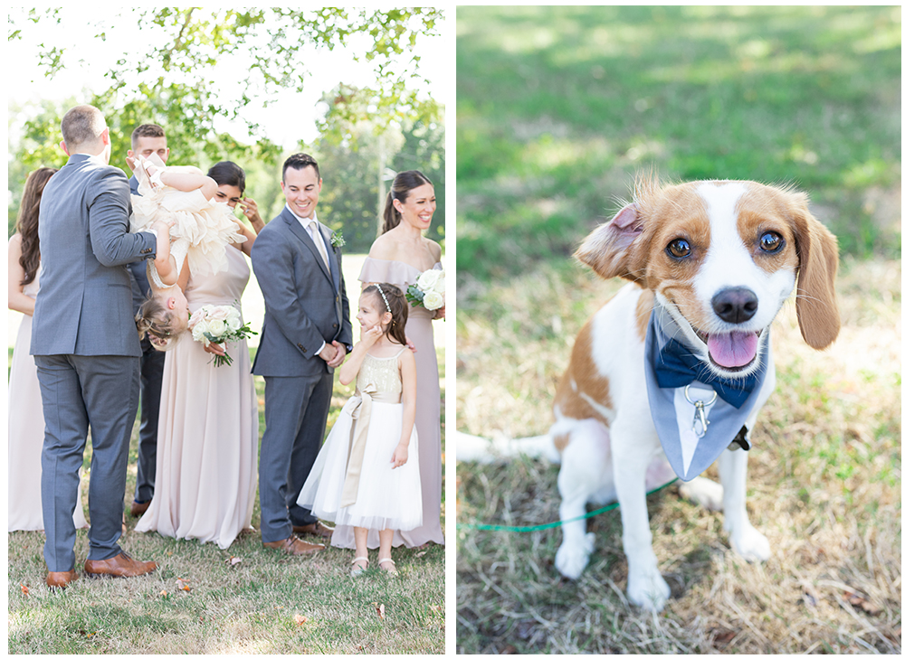 bridal party nj backyard wedding day dog