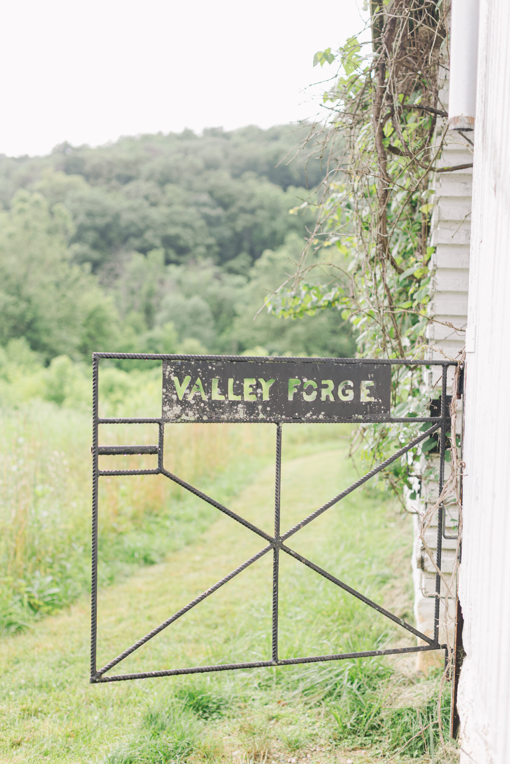 Alexa Lynn Photography valley forge gate
