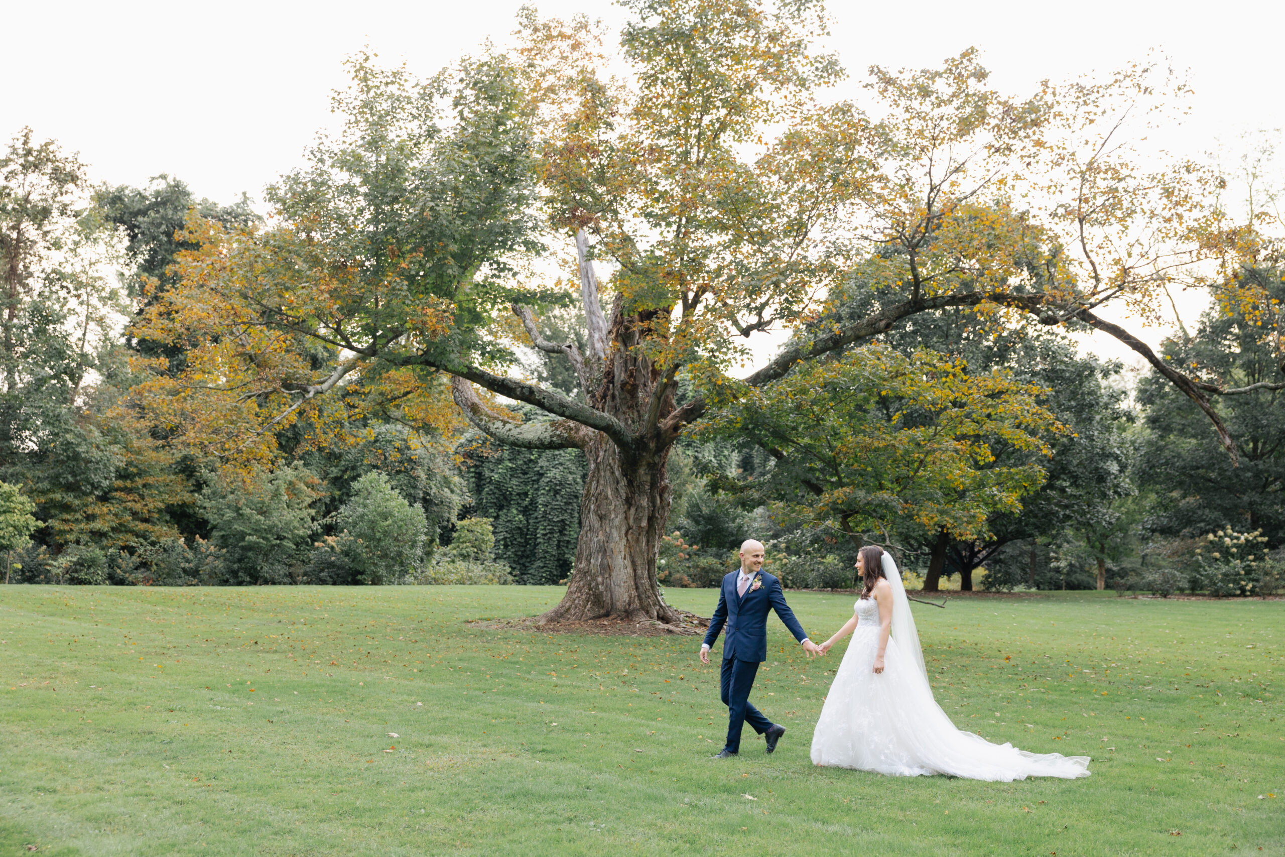 fall oak tree fernbrook farms newlyweds walking across grass